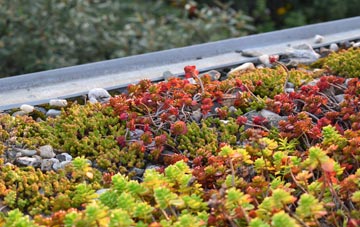 the cost of Antonshill green roof installation