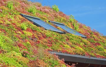Antonshill living roof systems