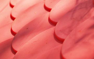 Antonshill plastic roof costs