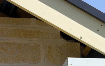soffit repair Antonshill