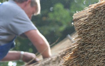 professional Antonshill thatchers