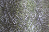 Antonshill fibreglass roof work